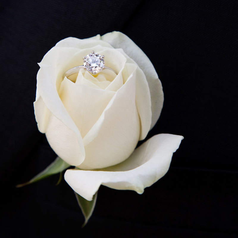 bague de fiançailles posée sur une fleur blanche
